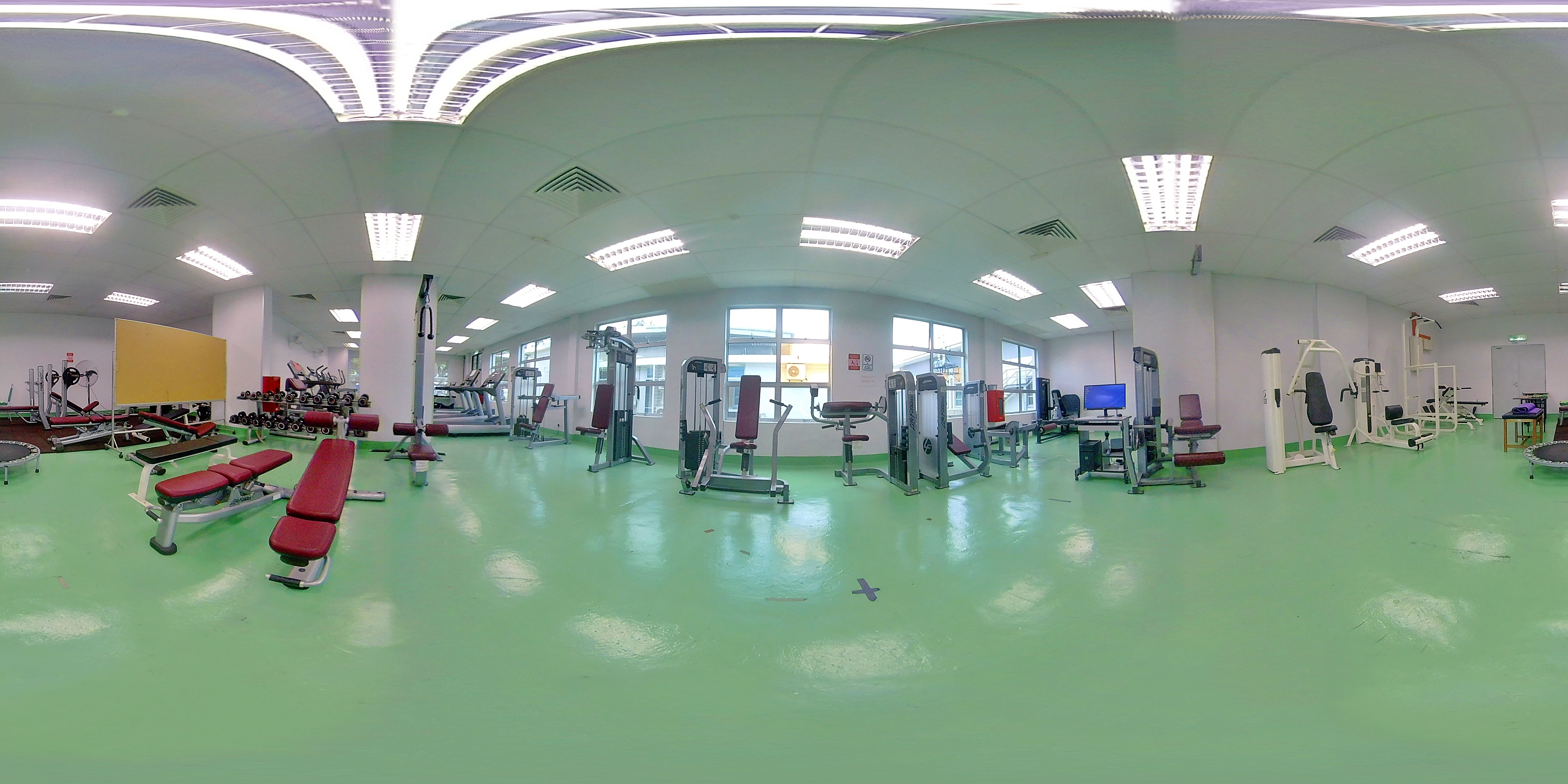 Header Image 4